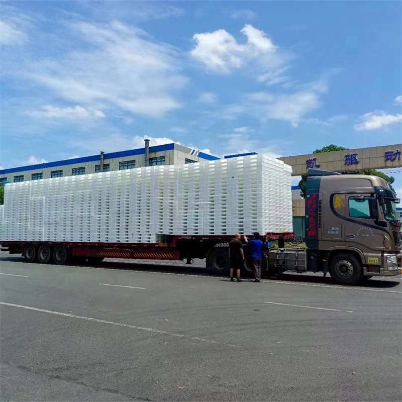浙江嘉兴嘉善县到玉林物流公司——一站式服务，让货运更轻松（玉林专线物流）